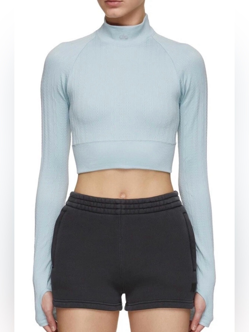 Alo Yoga Seamless Cable Knit Crop Top- size L
